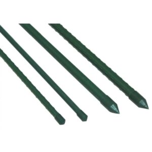 CH-DEN8961