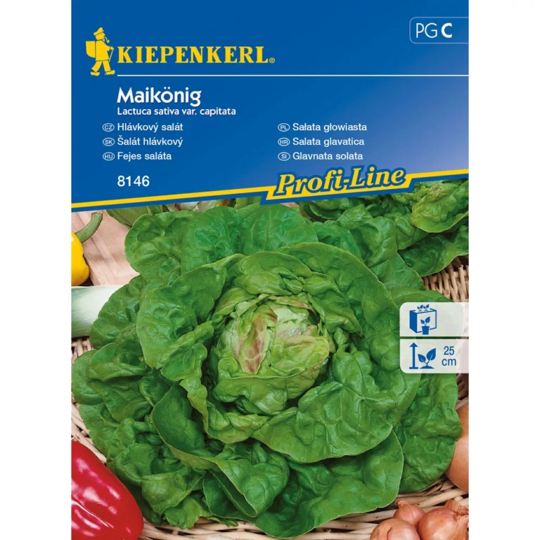 Fejes saláta vetőmag ( Maikönig ) Kiepenkerl