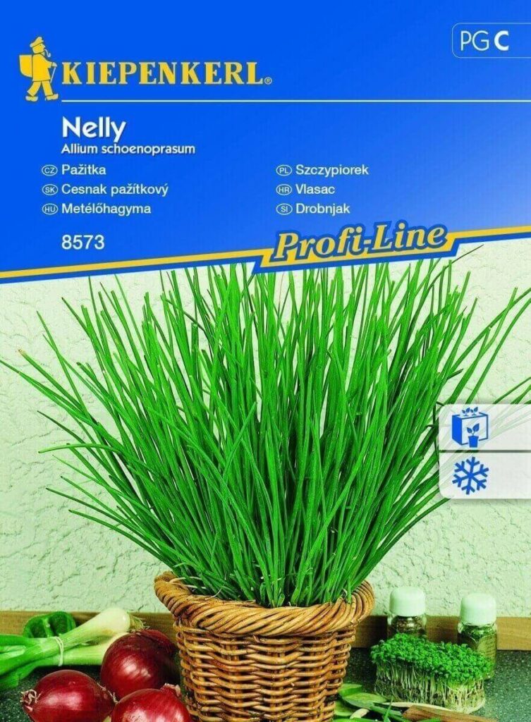 Metélőhagyma  Snidling vetőmag C '( Nelly ) Kiepenkerl