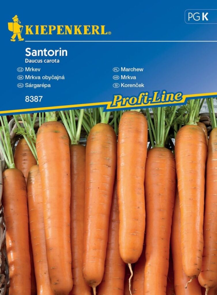 Sárgarépa vetőmag ( Santorin )Kiepenkerl