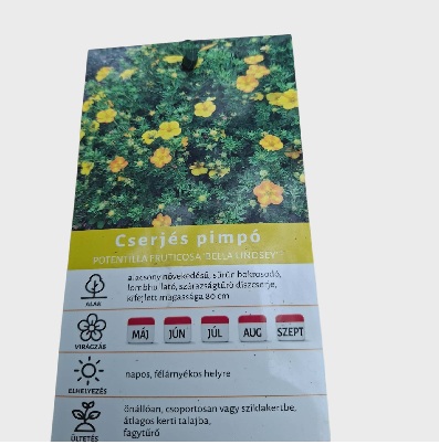csejés_pimpó_sárga