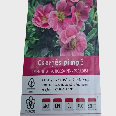 cserjés_pimpo_rózsaszín