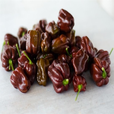habanero_csoki