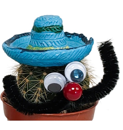cactus_mexico_kék